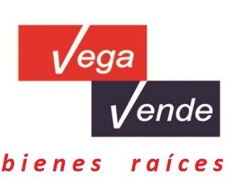 Logotipo de dago vega