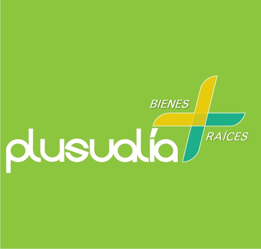 Logotipo de PLUSVALIA