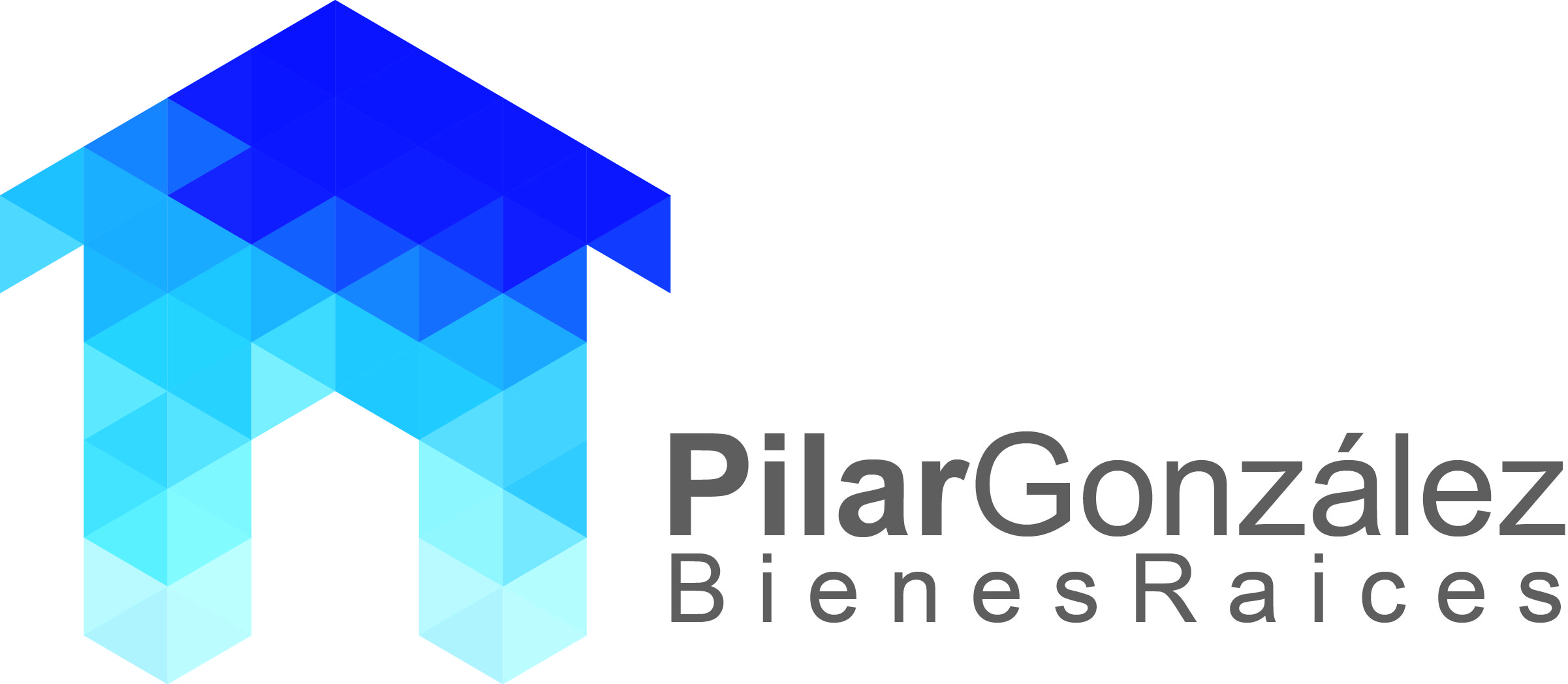 Logotipo de Pilar GONZALEZ BIENES RAICES