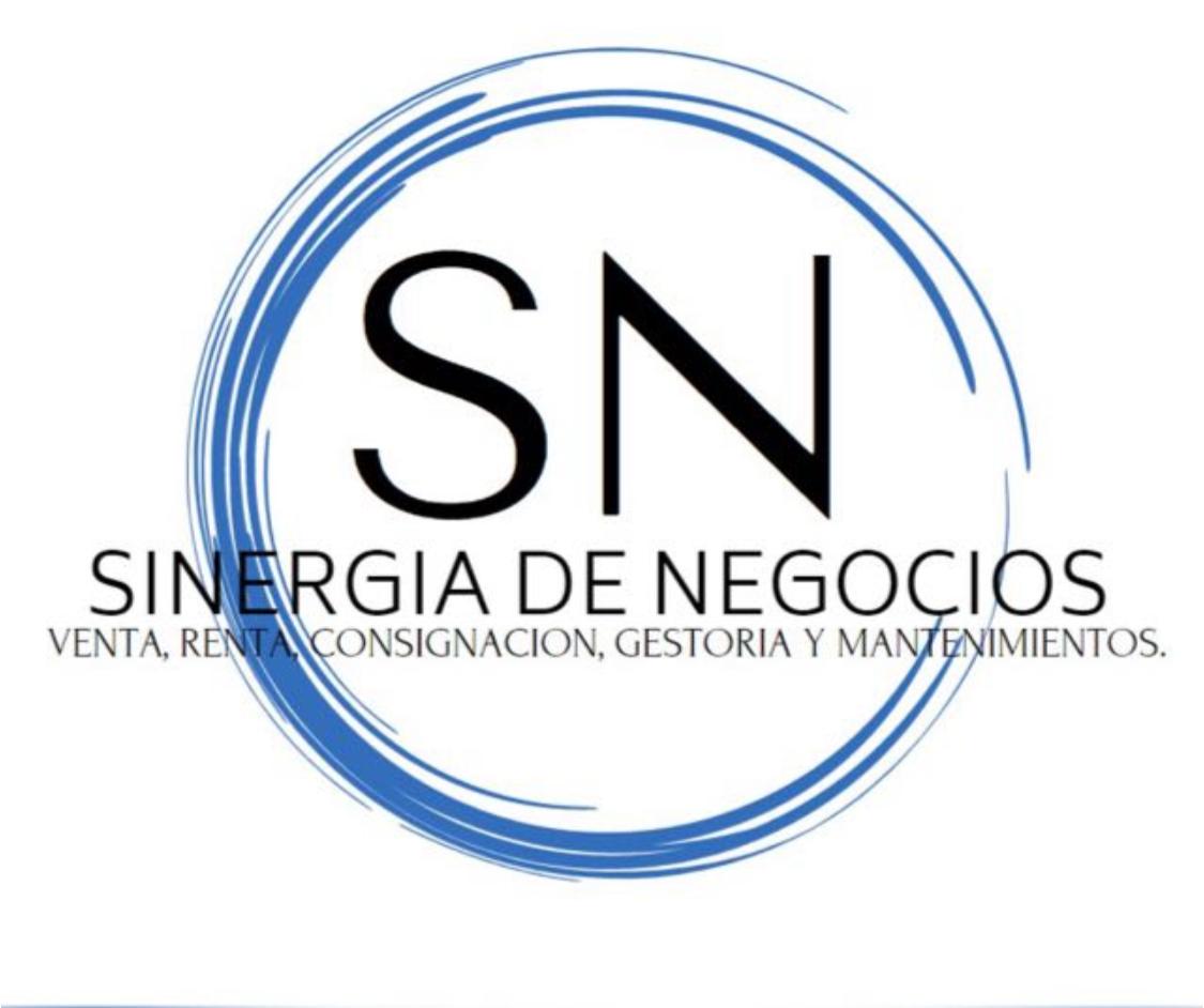 Logotipo de SINERGIA DE NEGOCIOS